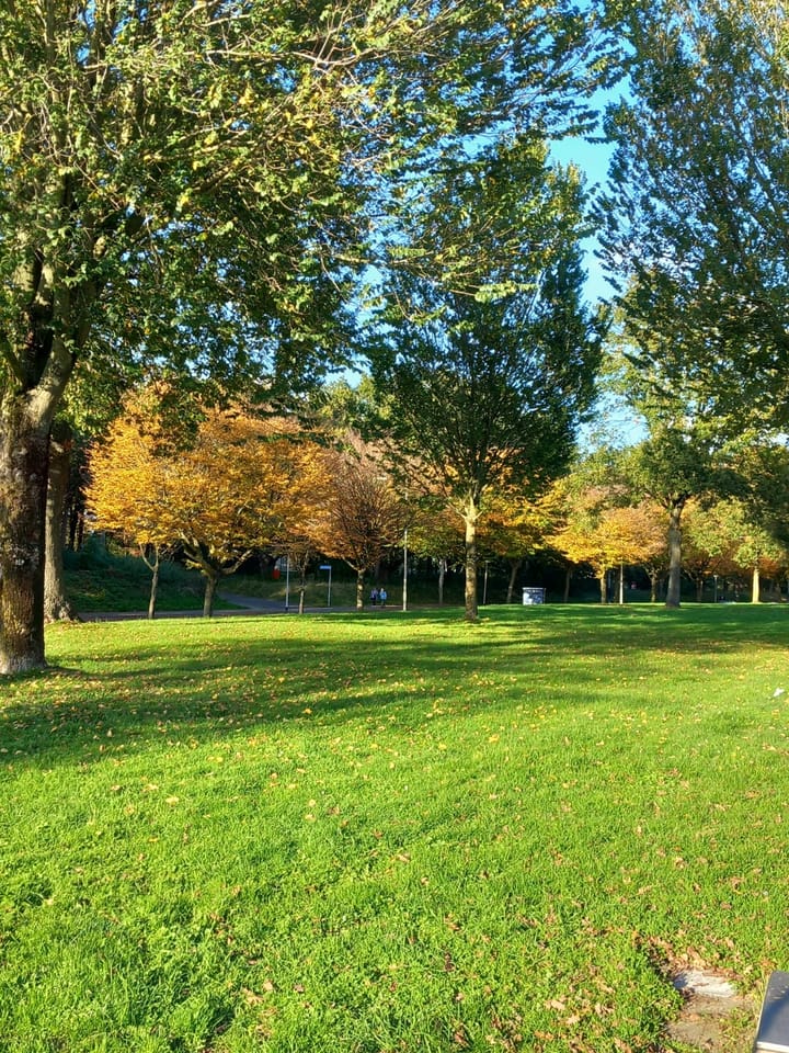 Foto 38 van Scheldelaan 87