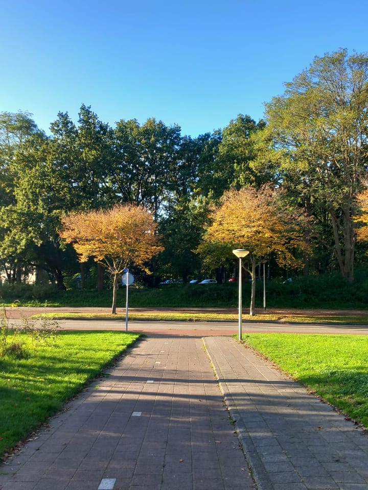 Foto 39 van Scheldelaan 87