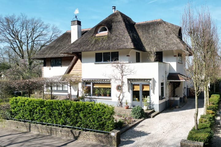 Foto 1 van Soestdijkseweg Zuid 129