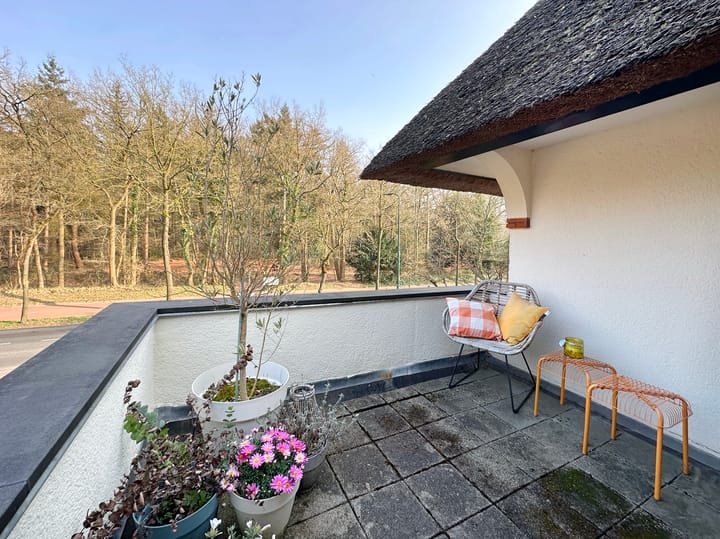 Foto 38 van Soestdijkseweg Zuid 129