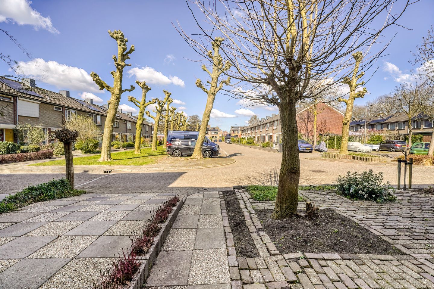 Foto 50 van Carel Fabritiusplantsoen 12