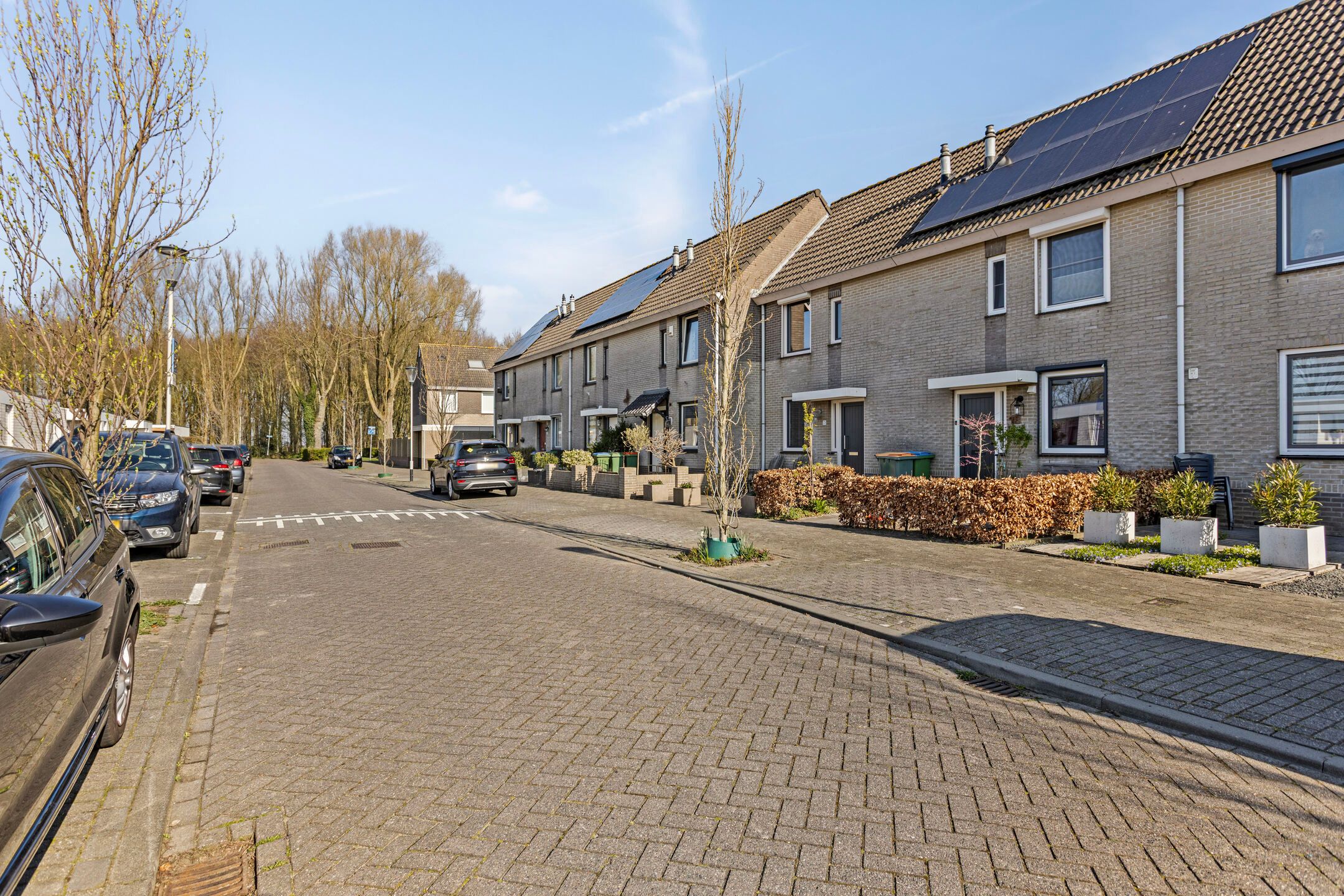 Photo 33 of Bosveen 20