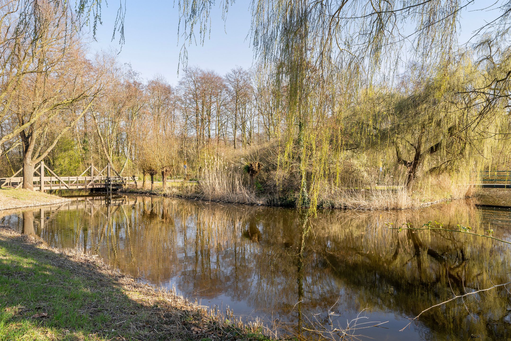 Photo 36 of Populierendreef 6