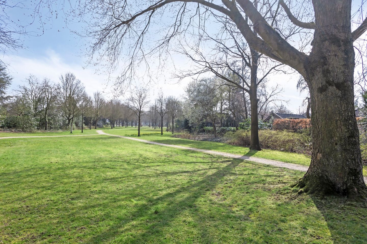 Foto 34 van Sportlaan 35