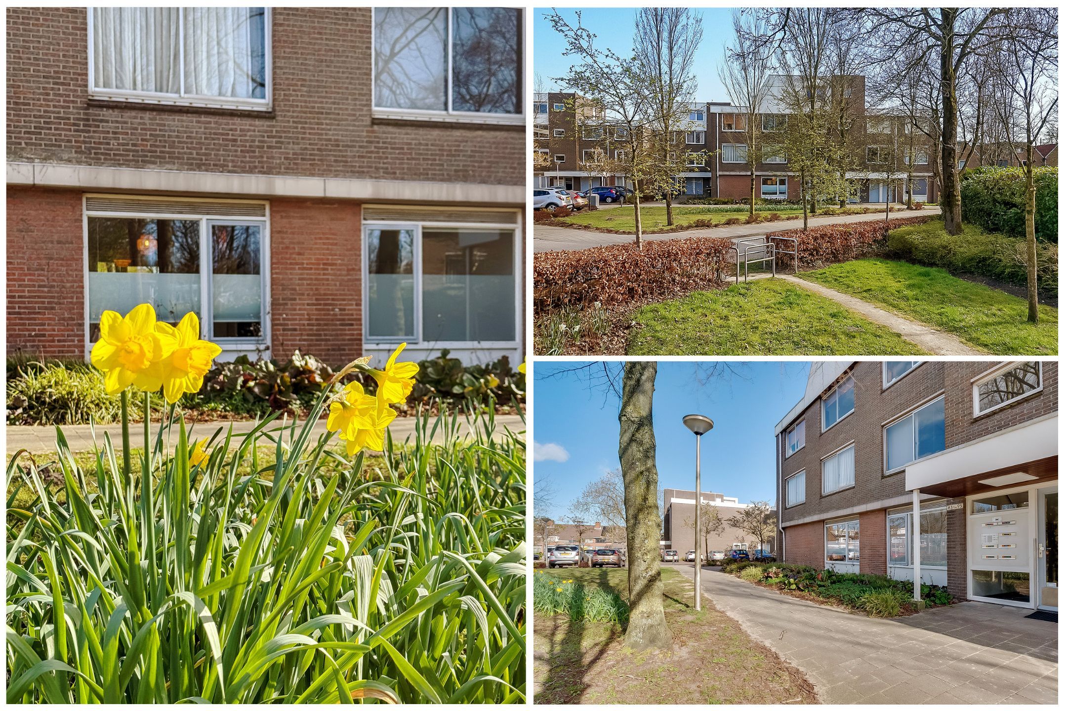 Foto 30 van Griend 83