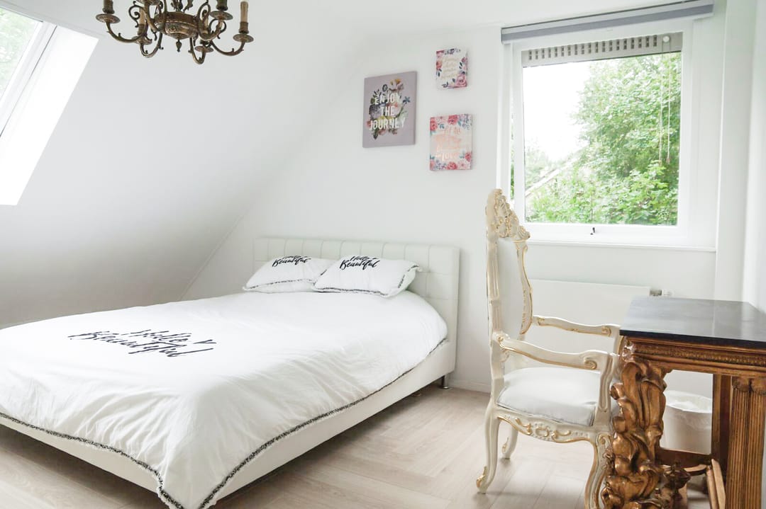 Foto 7 van Reggeplantsoen 2