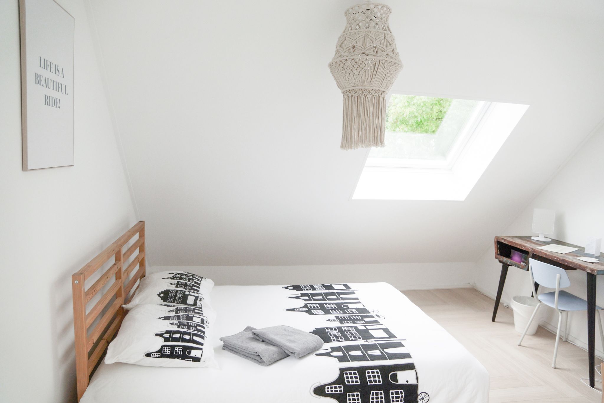 Foto 12 van Reggeplantsoen 2