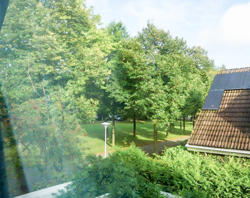 Foto 20 van Reggeplantsoen 2