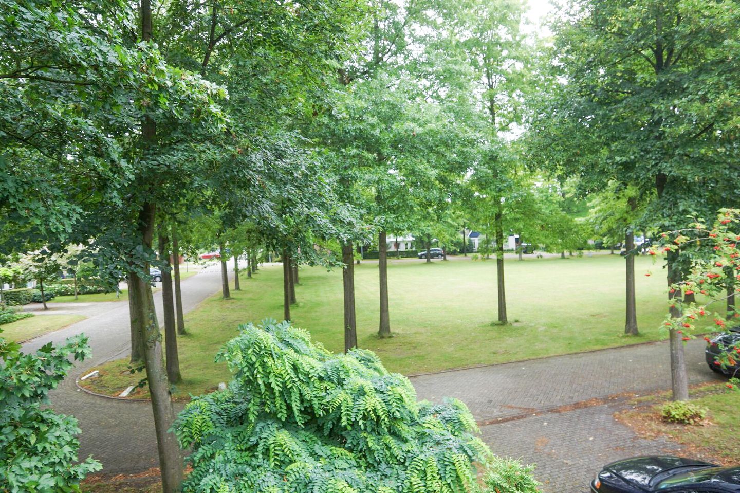 Foto 25 van Reggeplantsoen 2