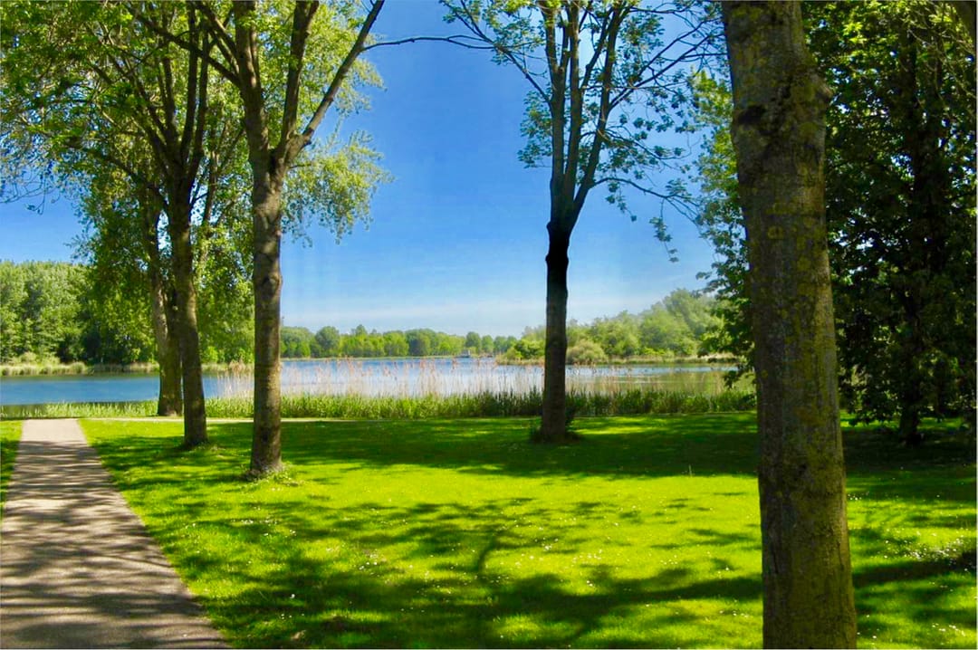 Foto 26 van Reggeplantsoen 2