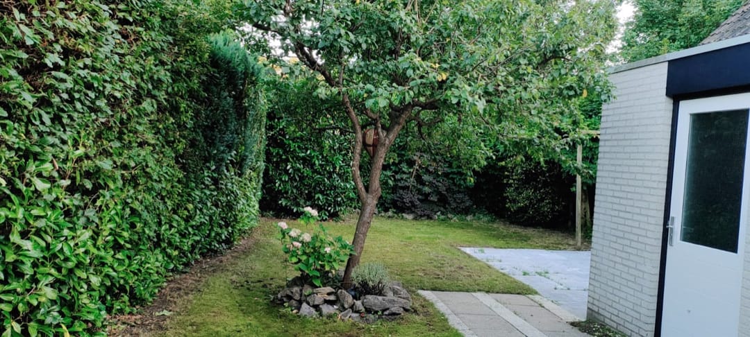 Foto 28 van Reggeplantsoen 2