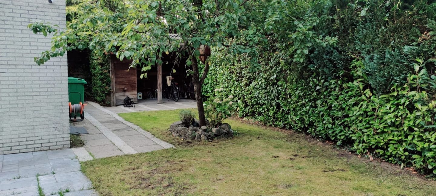 Foto 29 van Reggeplantsoen 2