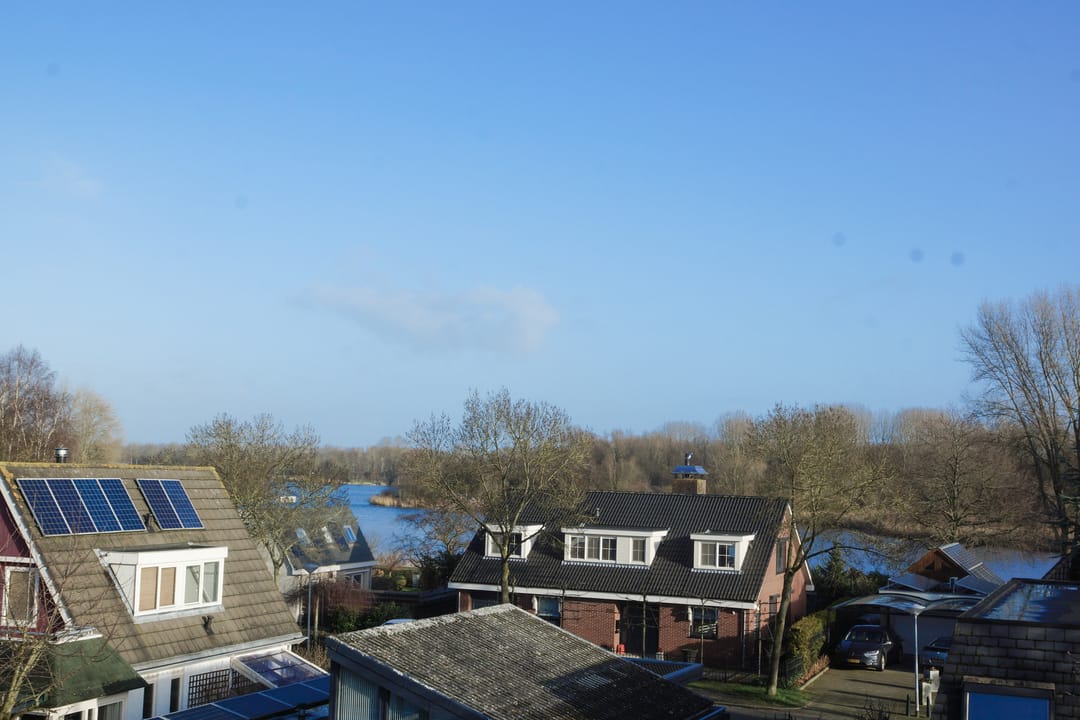 Foto 17 van Reggeplantsoen 2