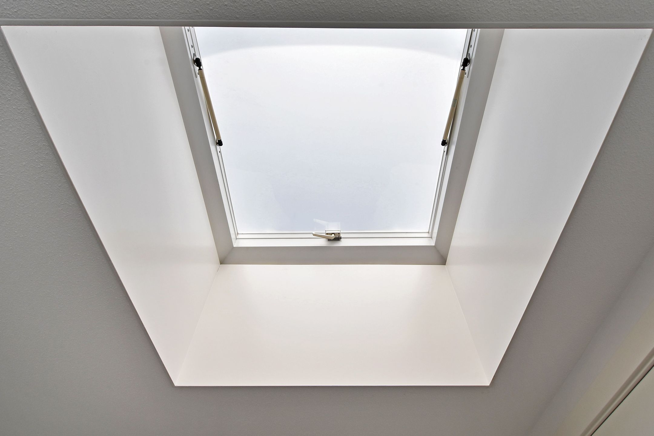 Foto 42 van Dagpauwooglaan 83