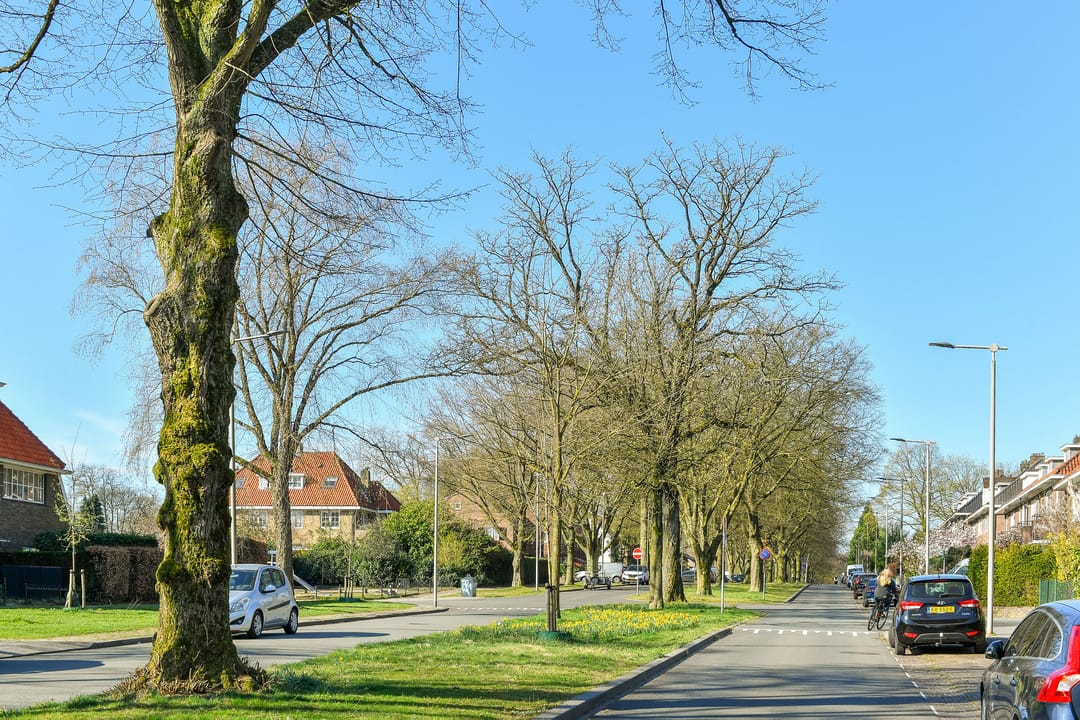 Foto 43 van Jacob Marislaan 7