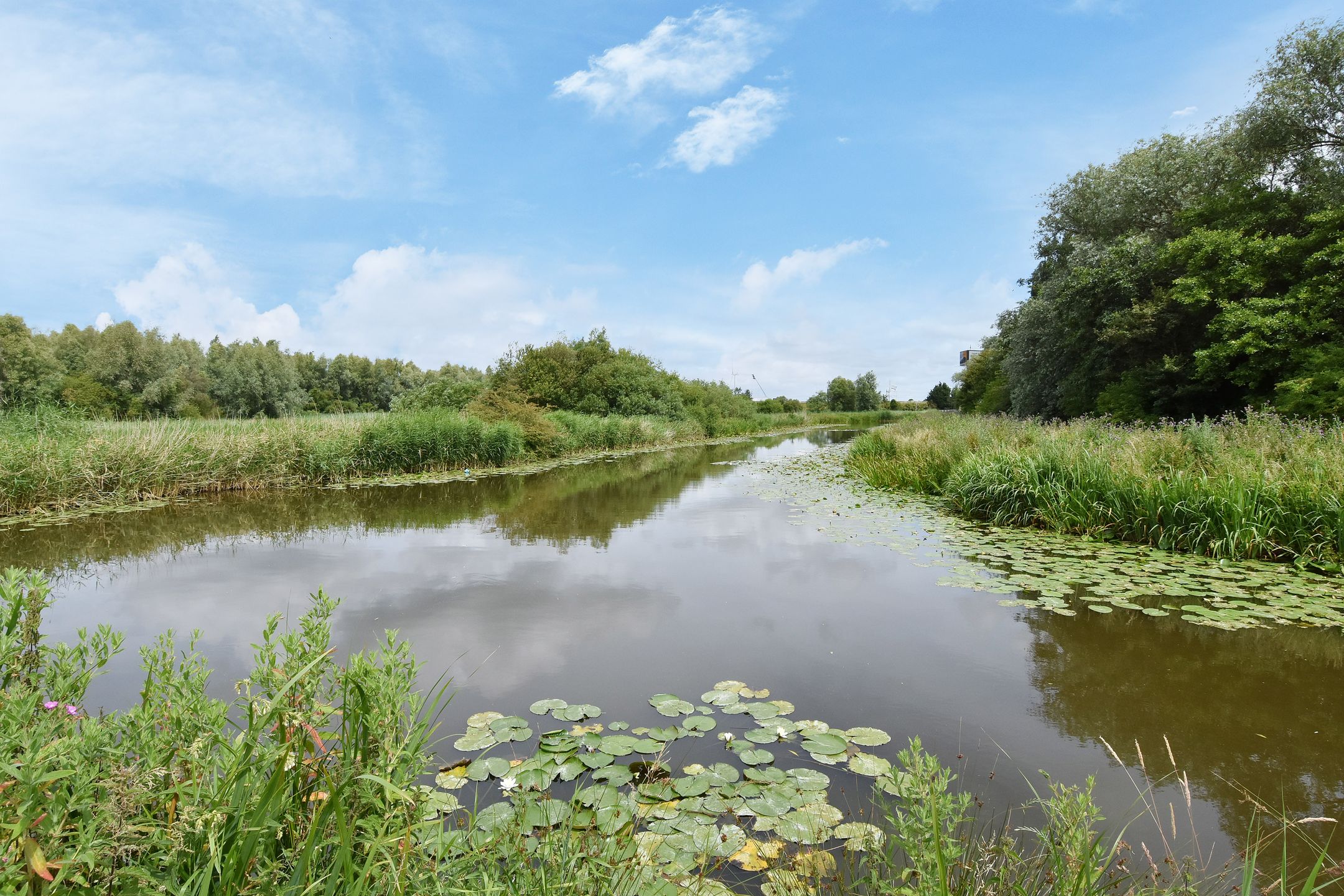 Foto 54 van Dagpauwooglaan 83