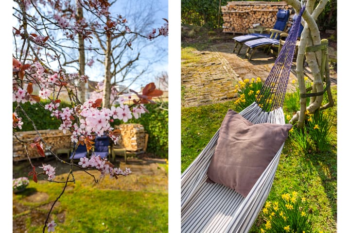 Foto 18 van Borchsatelaan 82