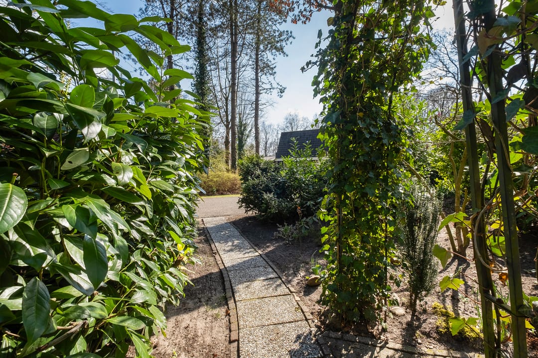 Foto 7 van Bijsselseweg 11-143