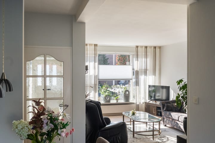 Photo 24 of Zilverschoon 26