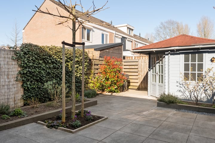 Photo 35 of Zilverschoon 26