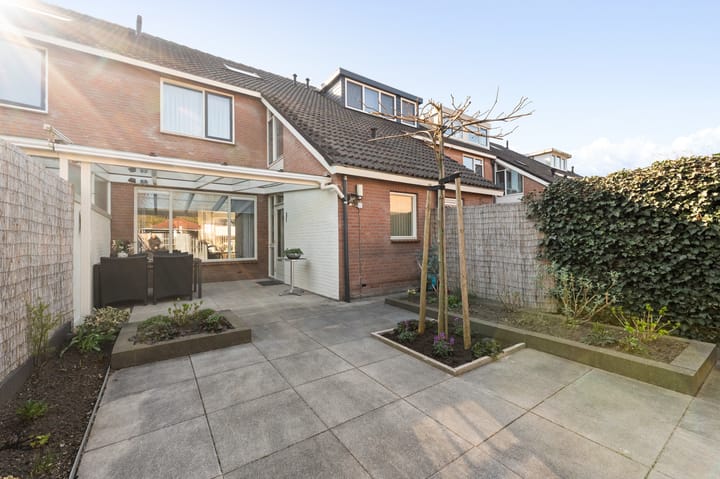 Photo 38 of Zilverschoon 26