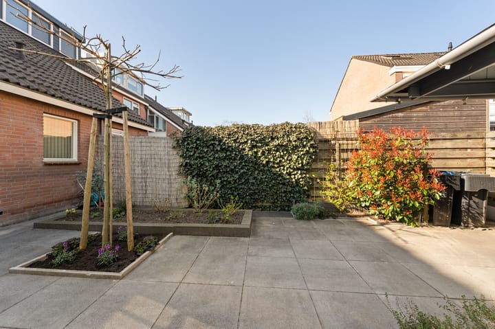 Photo 39 of Zilverschoon 26