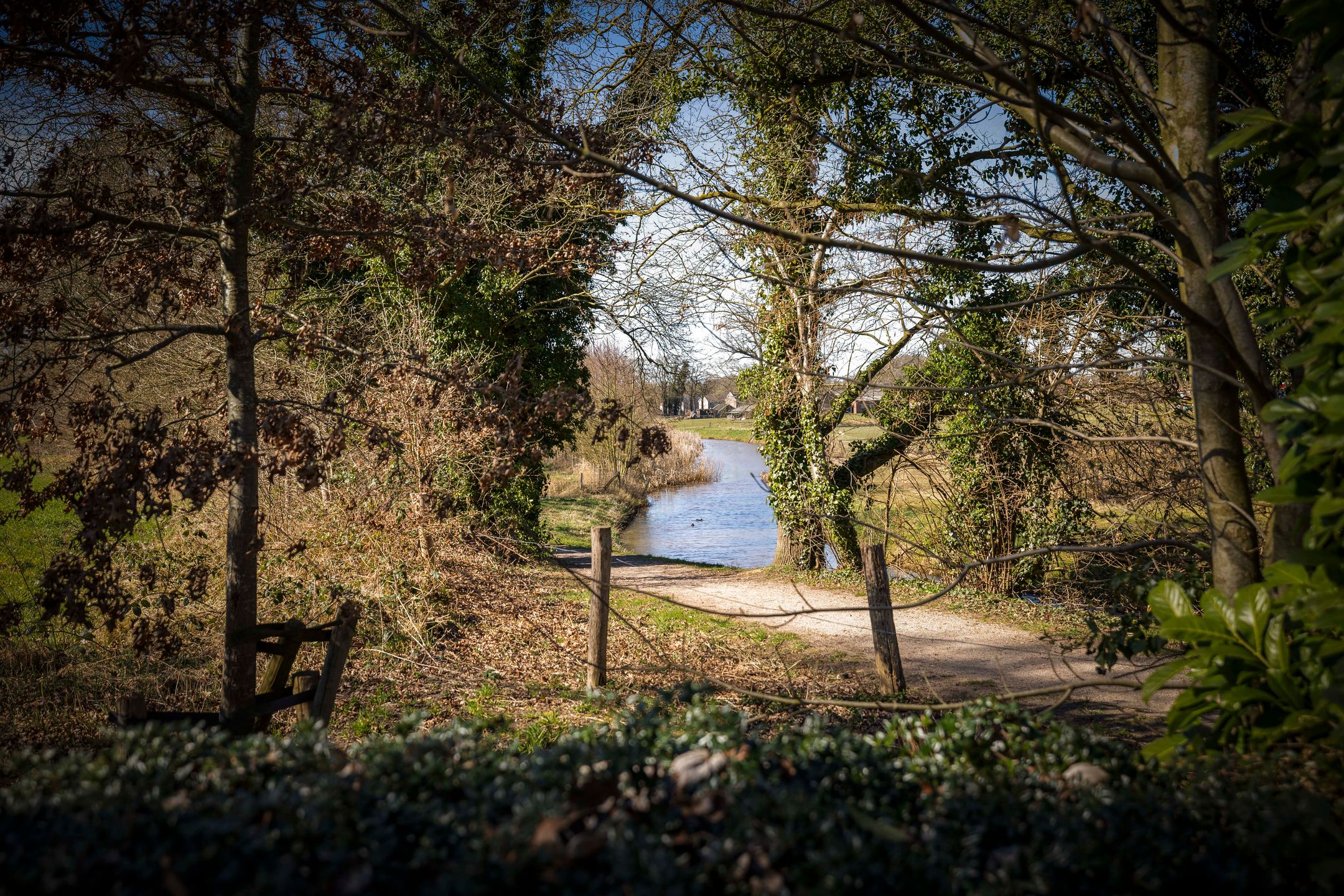 Foto 36 van de Jongstraat 41