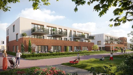 Roderstate main image