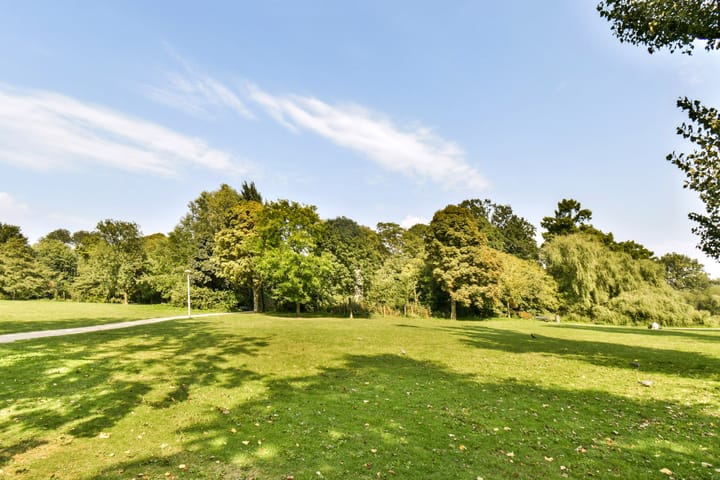 Foto 24 van Koninginneweg 49-3V