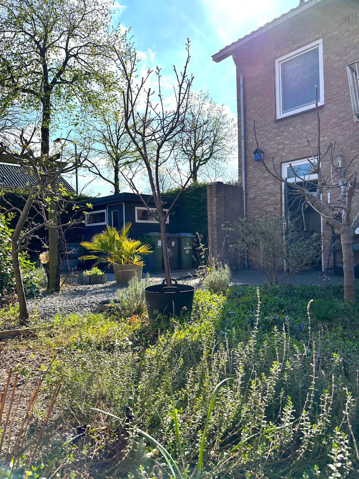 Photo 40 of Vierlingstraat 1