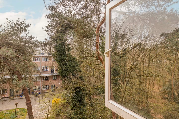 Foto 20 van van Heutszlaan 80-1