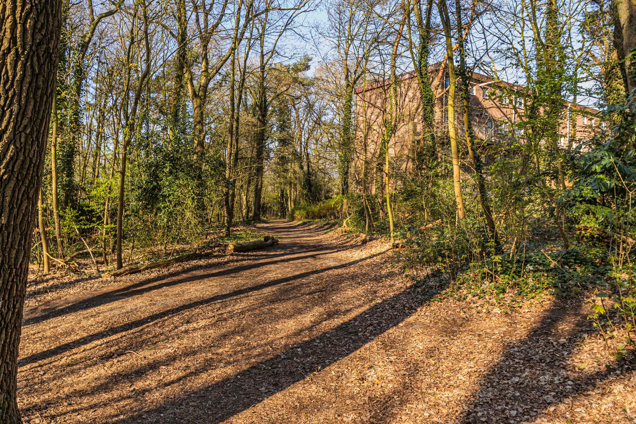 Foto 27 van van Heutszlaan 80-1