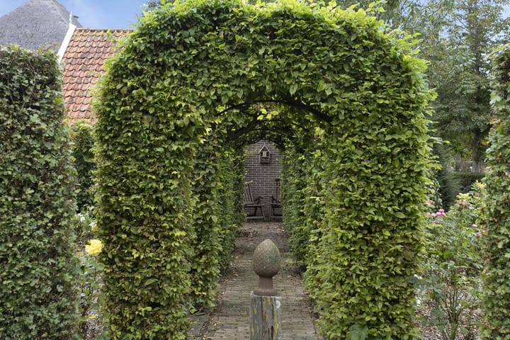 Foto 82 van Dorpsstraat 3