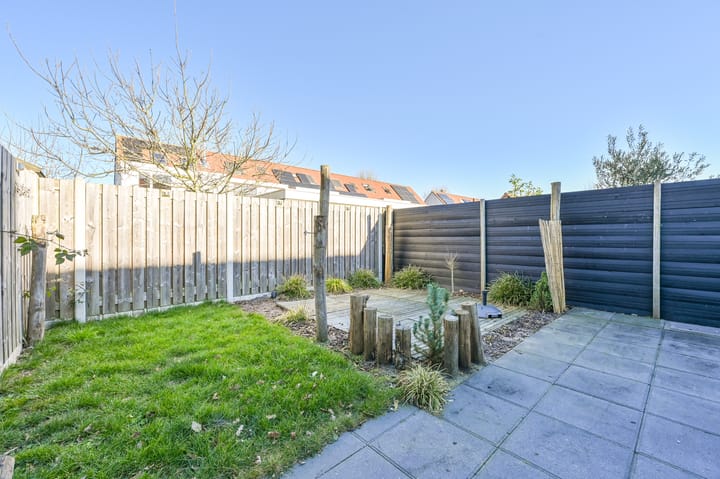 Foto 37 van Atalanta 3