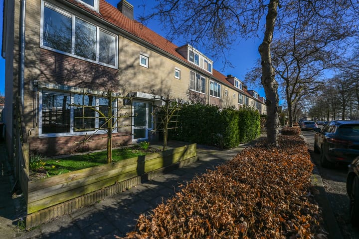 Foto 40 van Atalanta 3