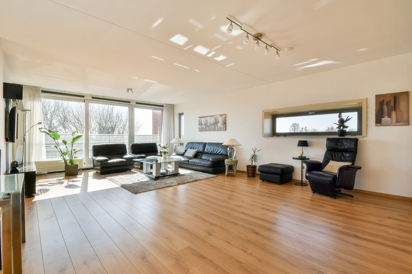 Photo 14 of Anna Blamanhof 91