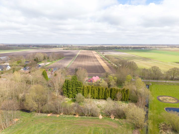 Foto 4 van Borgweg 81