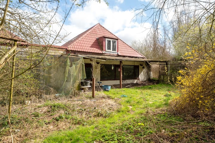 Foto 6 van Borgweg 81