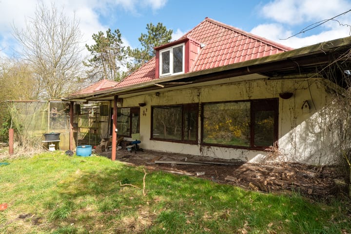 Foto 7 van Borgweg 81