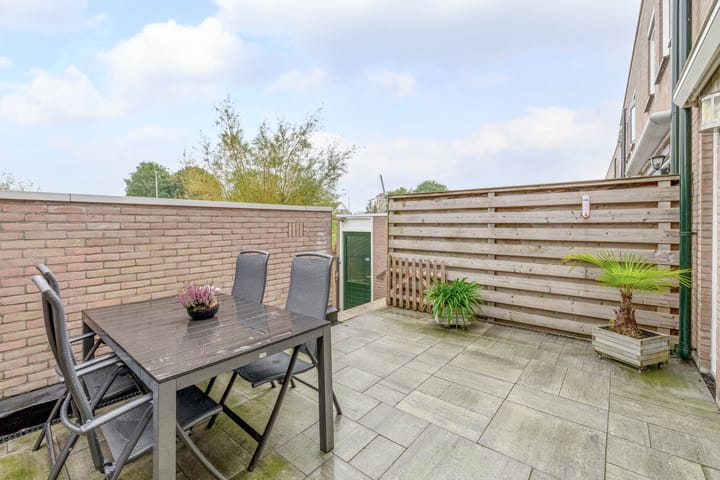 Foto 10 van Lobelia 18