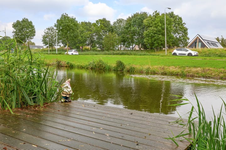 Foto 14 van Lobelia 18