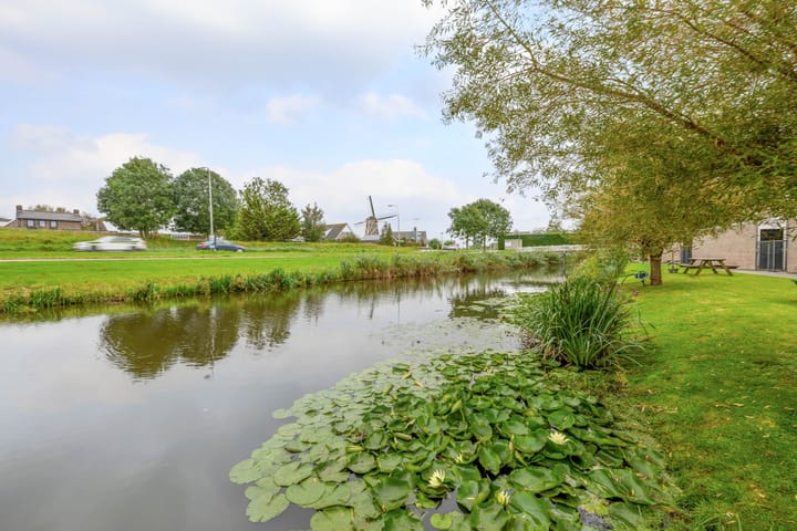 Foto 15 van Lobelia 18