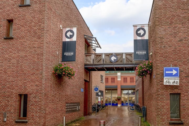 Foto 41 van Lobelia 18