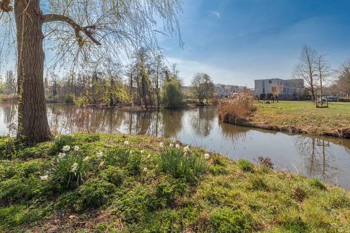 Foto 26 van Vleutenstraat 47