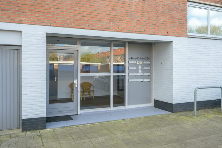 Foto 5 van Rijnauwenstraat 252