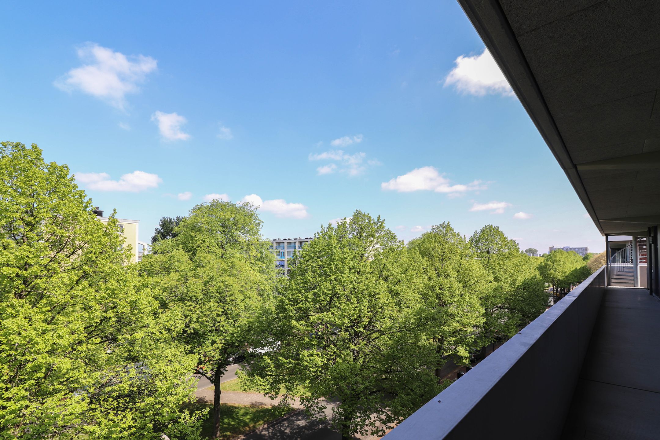 Foto 9 van Meppelweg 684