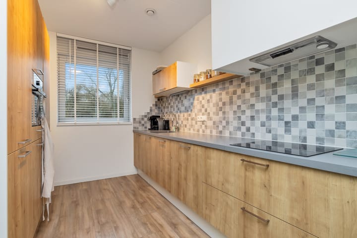 Foto 16 van Het Zwin 61