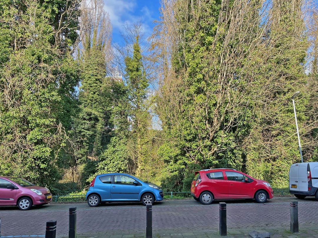 Foto 43 van van Alphenstraat 28