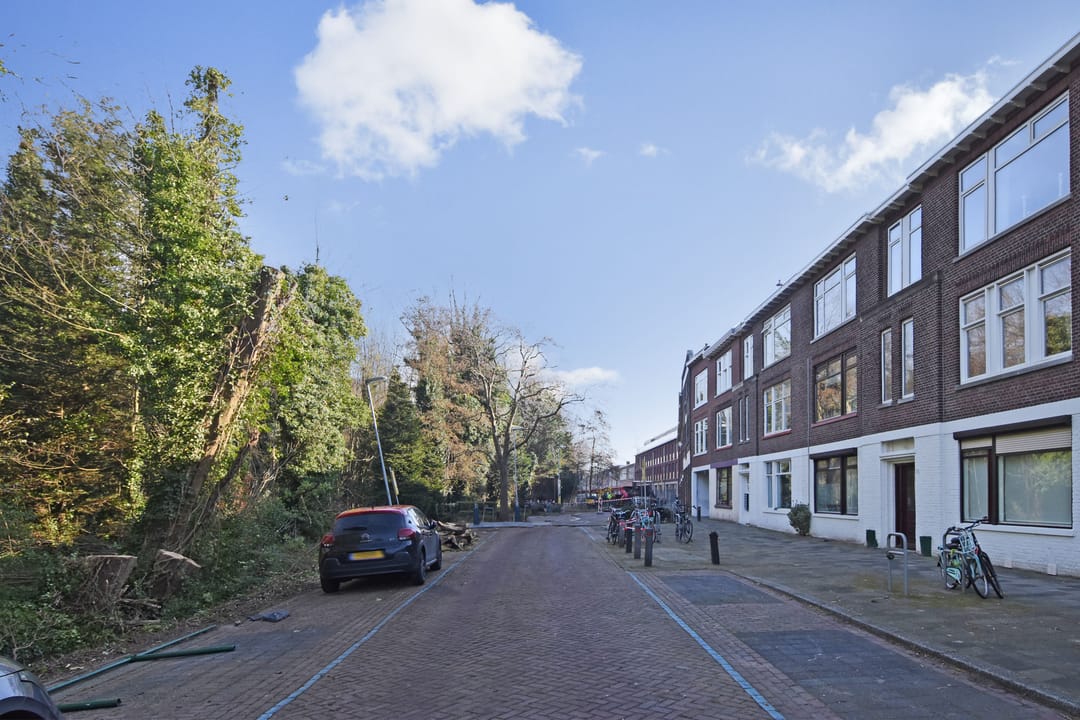 Foto 46 van van Alphenstraat 28