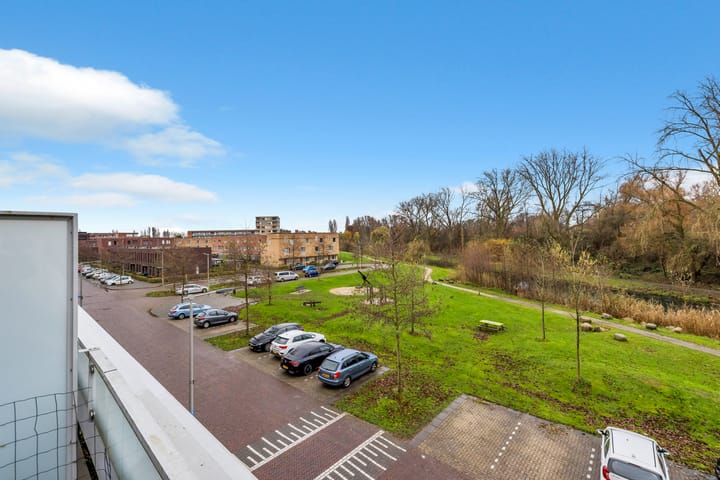 Foto 53 van Het Zwin 61